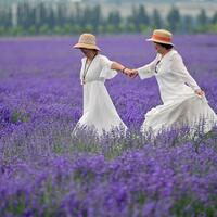Culture&Life|Lavender tourism festival promotes economic development in NW China's Xinjiang