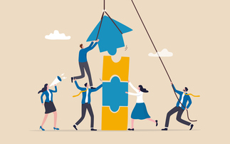 Fintel execs get shares boost as revenue rises