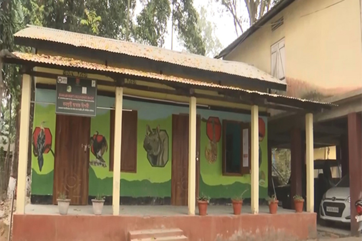 Assam: Pobitora Wildlife Sanctuary sees surge in tourists, revenue; Earns Rs 62 lakh this season