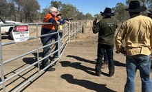 Tamboran wins pastoralist lawsuit 