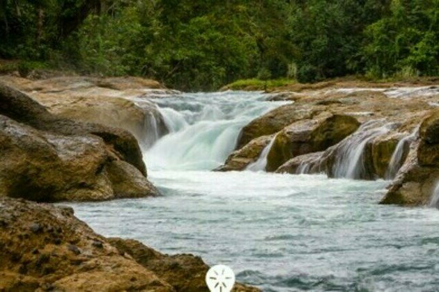Samar park's all-out bid to join UNESCO heritage list