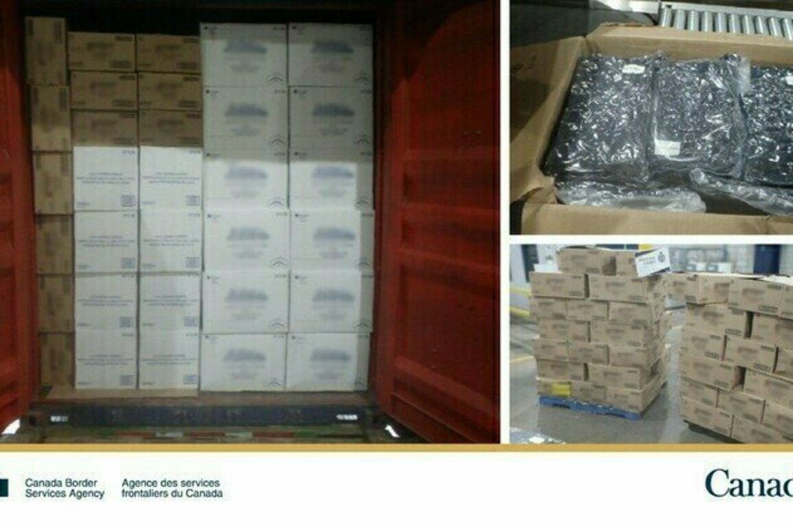 CBSA Makes a Major Cannabis Seizure at the Montreal Marine and Rail Service