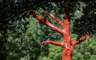 London could lose over 70 per cent of its trees to climate change by 2100