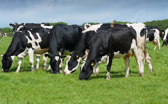 Global dairy auction prices near seven-year high