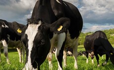 Food and farming industries unite in call for water rule rethink