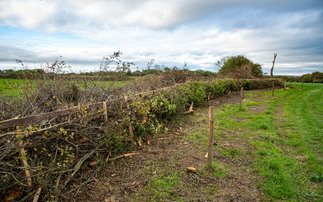 Farmers urged to prepare for capital grants reopening