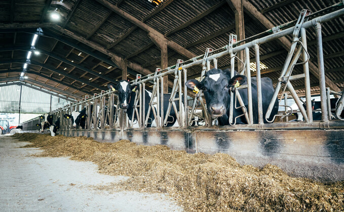 After a summer of drought, many farmers will be looking to bolster their winter forage supplies.