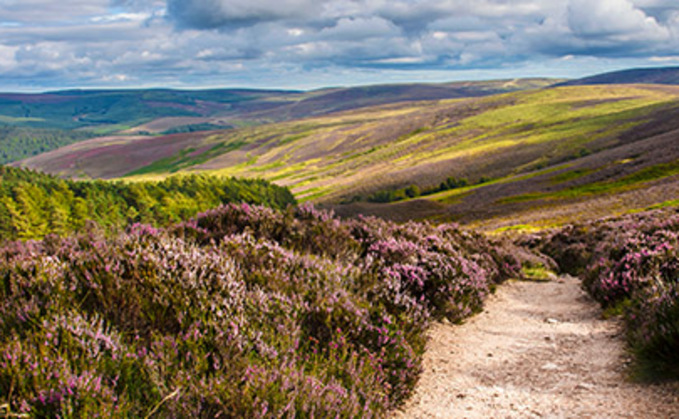 Partner Insight: How carbon removal strategies can offer optionality and flexibility