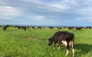 The initiative that is opening doors to the dairy industry  