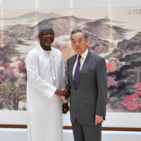 CHINA-HUNAN-CHANGSHA-WANG YI-NIGER-FM-MEETING (CN)