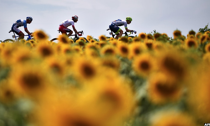Tour de France postponed to Aug 29-Sep 20 Tour de France postponed to Aug 29-Sep 20