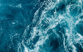 High Seas Treaty to become international law after ratification in 60 countries