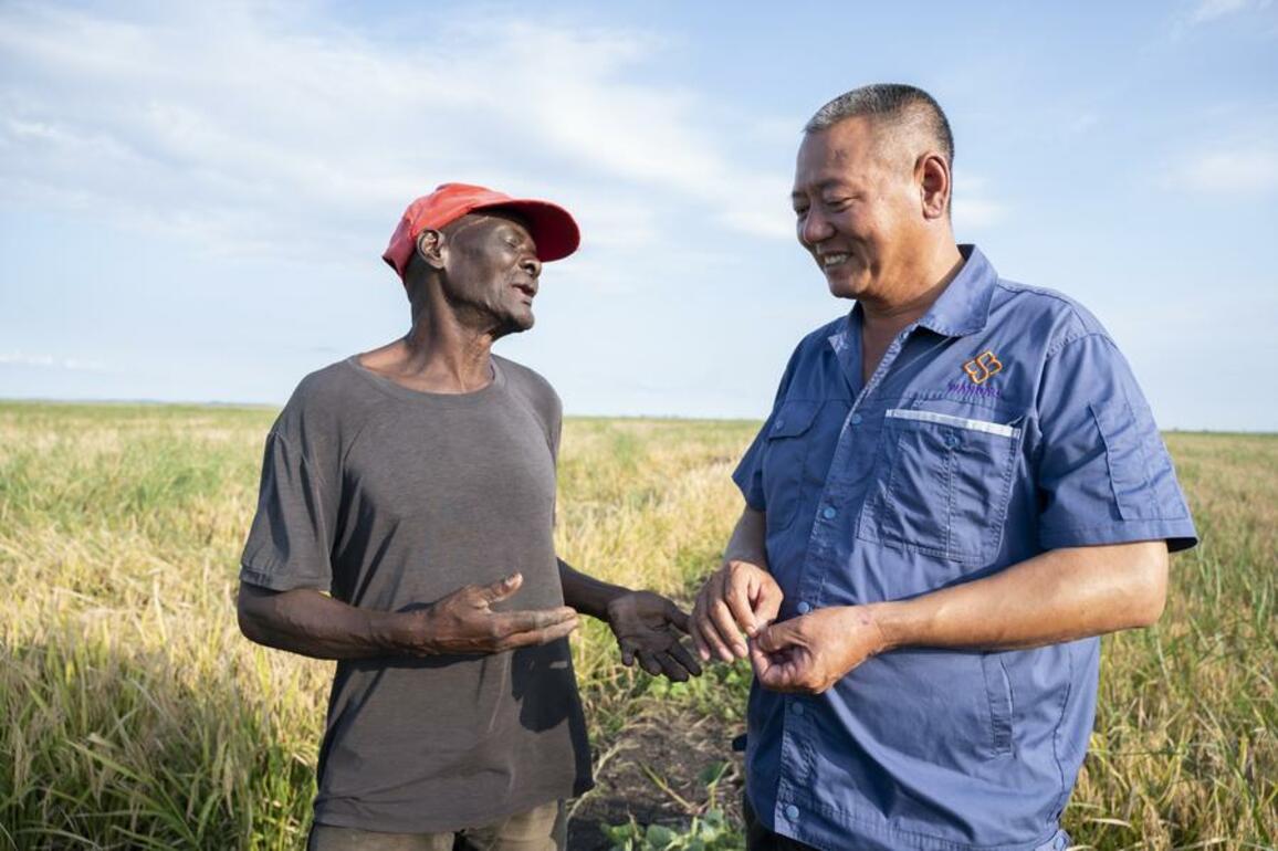 (Hello Africa) Chinese rice farm helps Mozambican farmers harvest better life