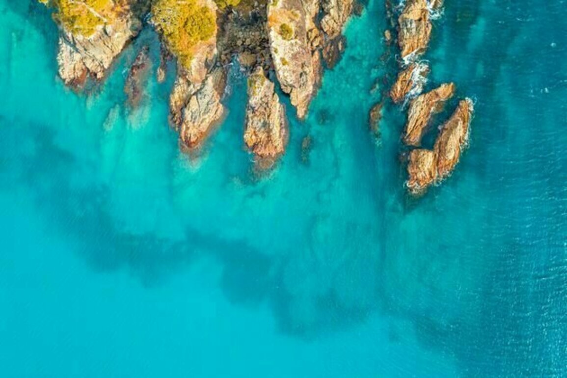 NZ has a vast sea territory but lags behind other nations in protecting the ocean