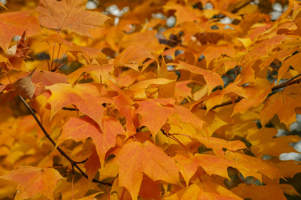 Yes, its time to start thinking about fall (advertising)