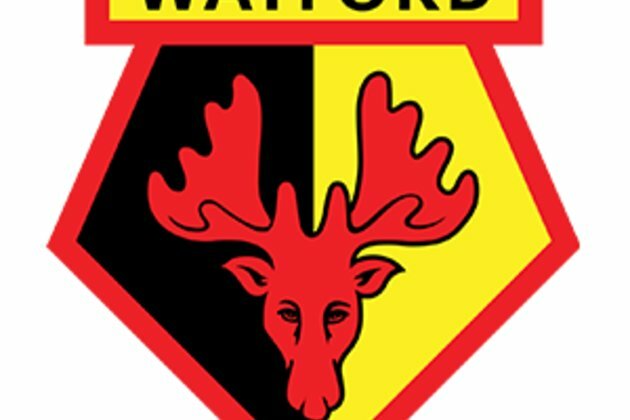 Watford loan Sweden winger Sema to Udinese