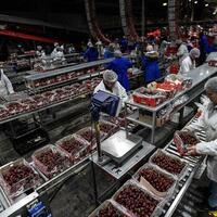 China expands visa-free access for Latin America to boost trade ties