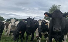 Farmer defends farming practises after receiving criticism online