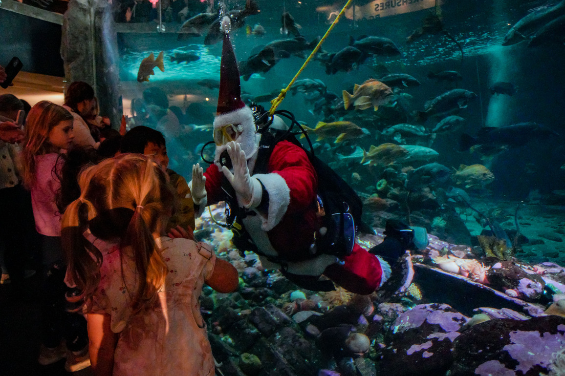CANADA-VANCOUVER-VANCOUVER AQUARIUM-SCUBA CLAUS