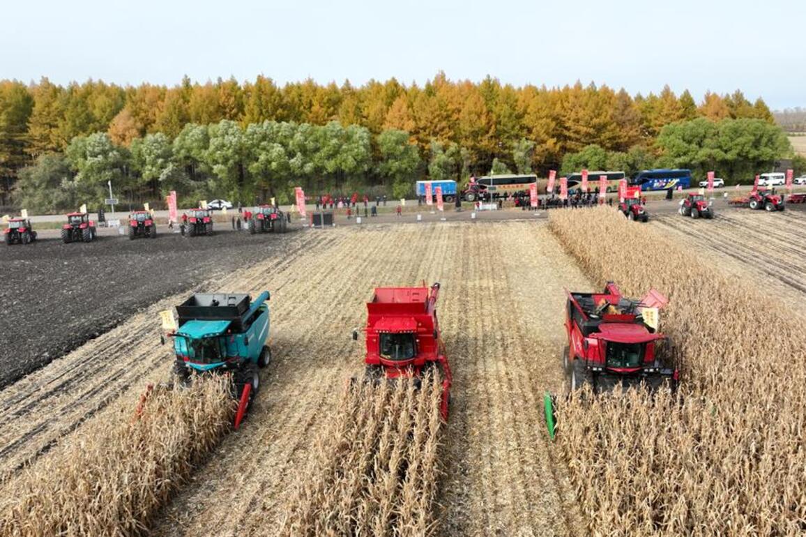 China speeding up efforts to secure autumn grain harvest