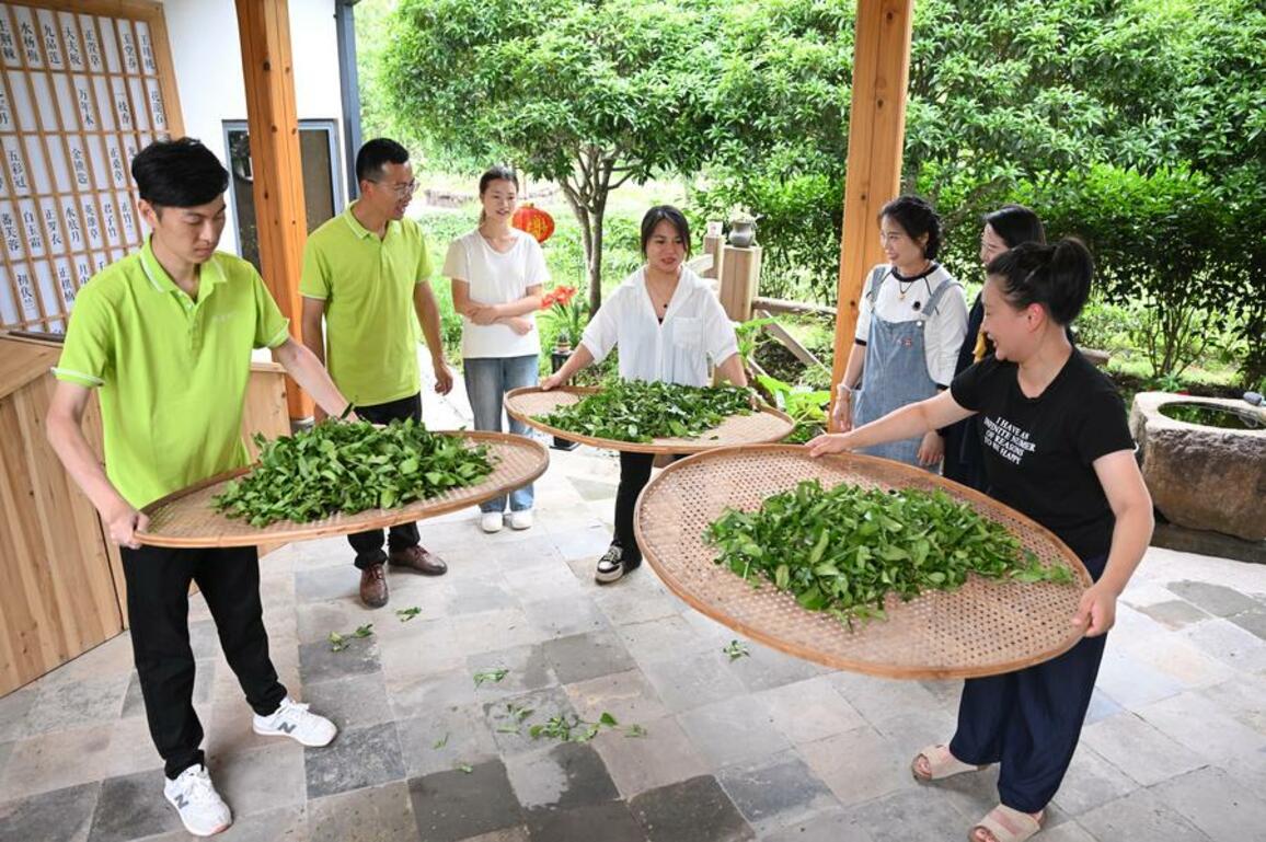 Culture&Life | Tea industry thrives in SE China's Wuyishan
