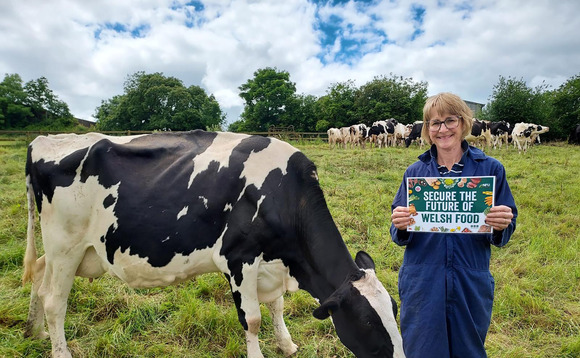In Your Field: Emma Robinson - "I could do with a new calf shed but I doubt Santa will deliver as our milk price was dropped in November"