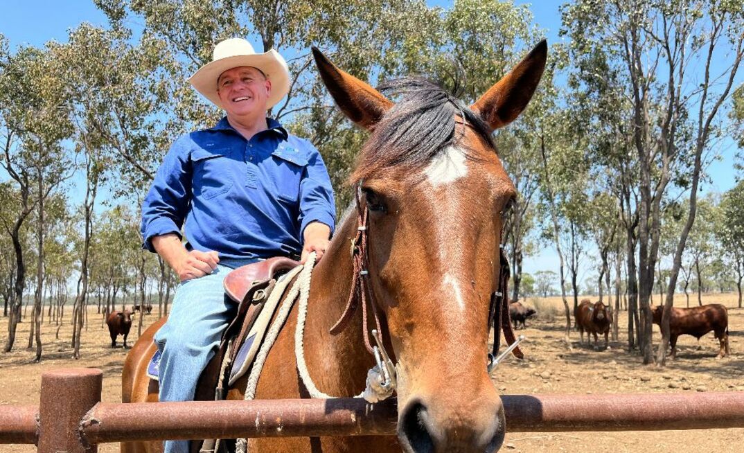Rick Young, Supply Chain Manager at NAPCo, has seen first-hand the difference good handling and nutrition can make to weaner performance.