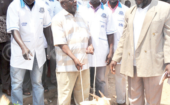 Haji Nadduli nga baddereeva b’e Luweero bamukwasa kimeeme w’embuzi okumukulisa. Haji Nadduli nga baddereeva b’e Luweero bamukwasa kimeeme w’embuzi okumukulisa.