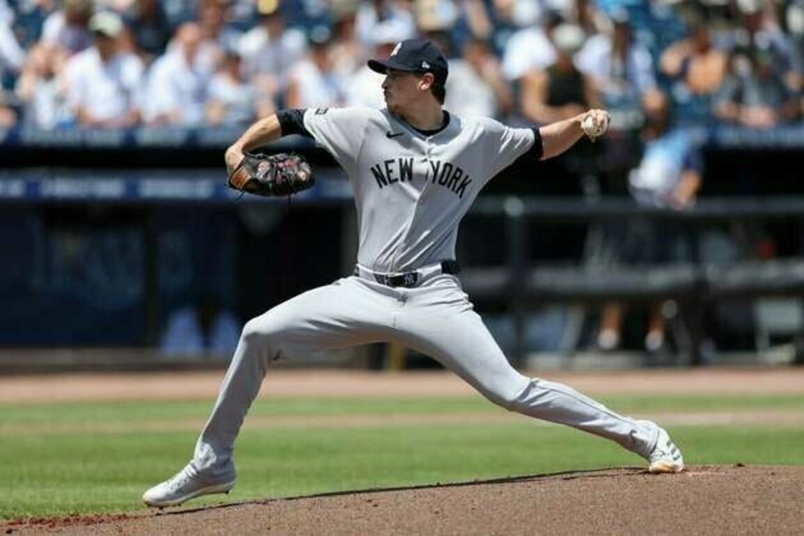 Max Fried dominates as Yankees blank Rays 4-0