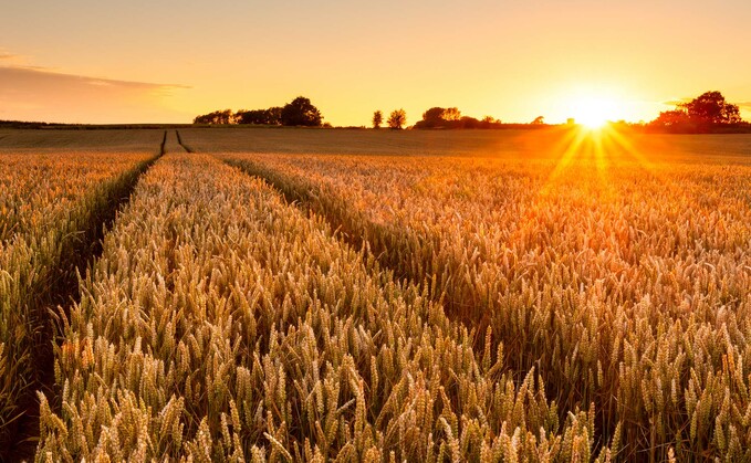 Arable farmland is most sought after by buyers, says latest market report