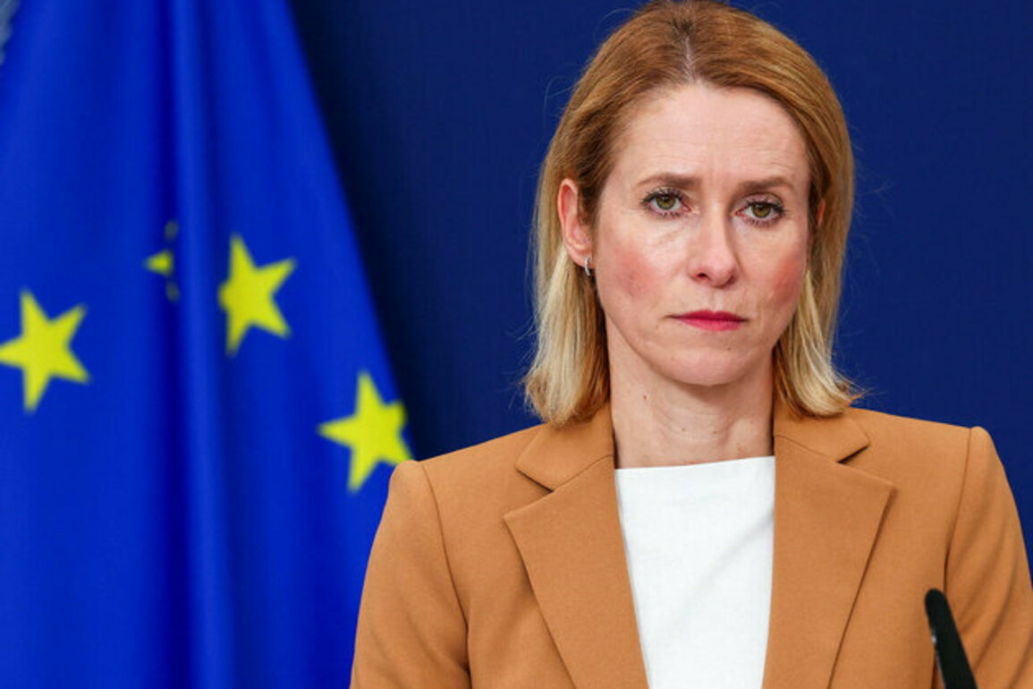 EU can build new partnerships while maintaining strong US ties: Foreign policy chief