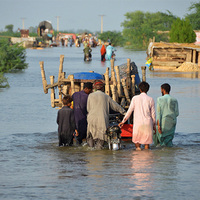 Monsoon mayhem: Over 200 dead, 560 injured as relentless rains lash Pakistan
