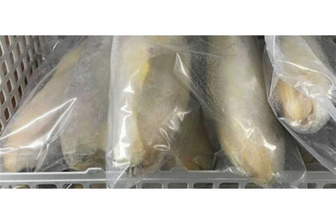40 per cent of China-imported fish containing banned drug retrieved in Taiwan; tighter border checks imposed