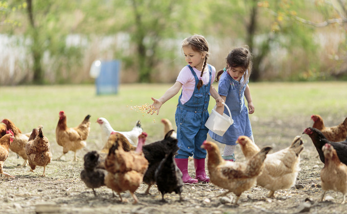The fight for farming in schools goes to Parliament