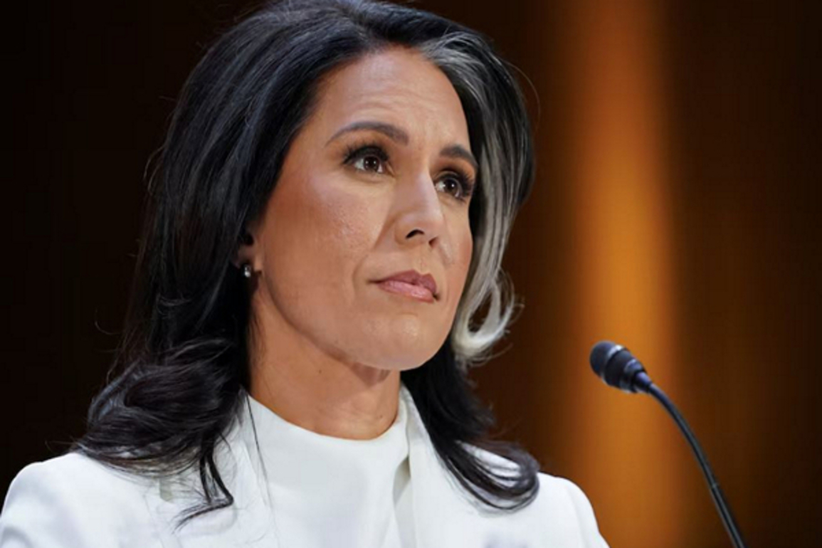 US' Tulsi Gabbard to visit India during multi-nation trip to Indo-Pacific