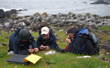 'Heartbreaking': Plant Atlas project finds non-native species outnumber