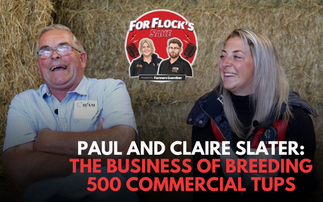 Paul and Claire Slater: The business of breeding 500 commercial tups | For Flock's Sake Ep.5