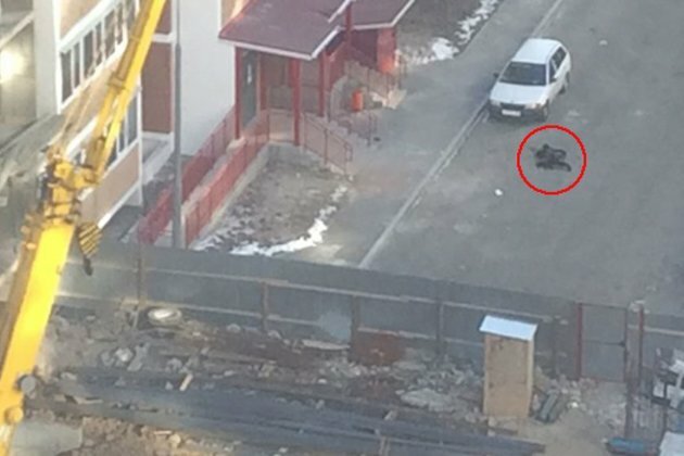 North Korean Construction Worker in Russia Commits Suicide