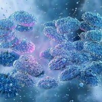 A person in the US has died from pneumonic plague. It's not just a disease of history
