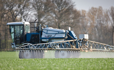 Growers urged to remain vigilant despite low wheat disease pressures