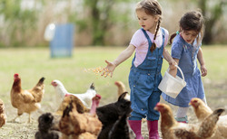 OPINION: I took some farmers into my local school and saw the children come alive