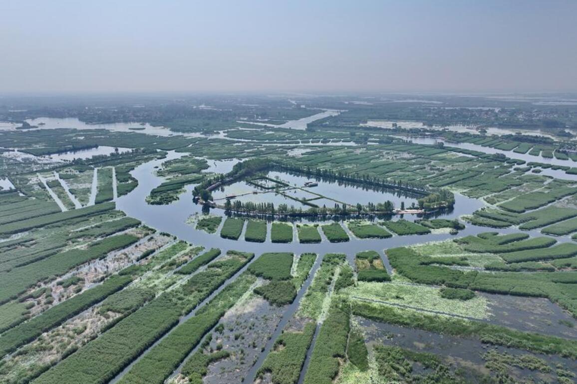 Legacy of WWII "wild goose feather team" still shines in China's city of future