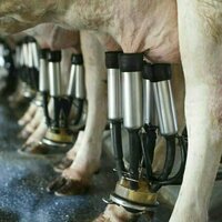 As livestock numbers grow, wild animal populations plummet. Giving all creatures a better future will take a major rethink