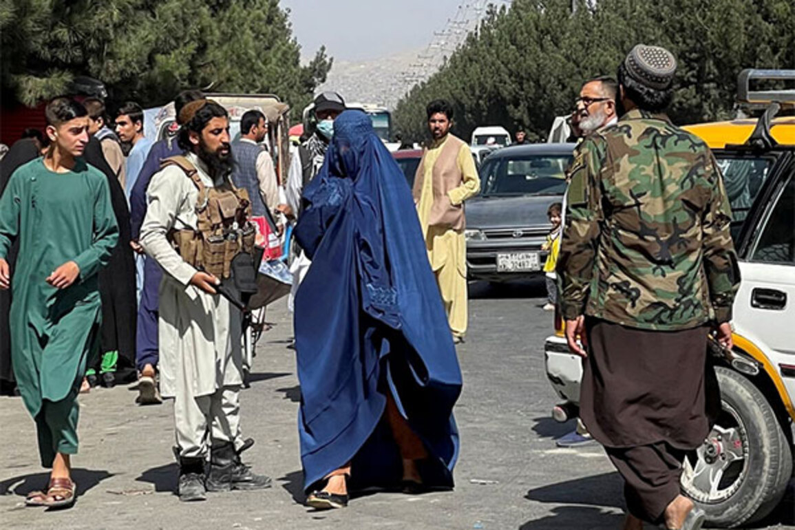 UN warns Afghan women face "increasingly untenable" situation and risk removal from public life