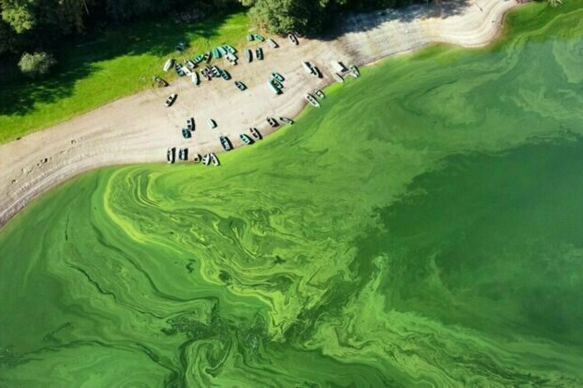 How Luxembourg detects microbes in its water supply before they pose a health risk