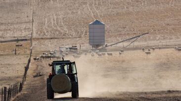 BOM said El Niño often brings drier conditions to central and eastern Australia in winter and spring, but not always. 