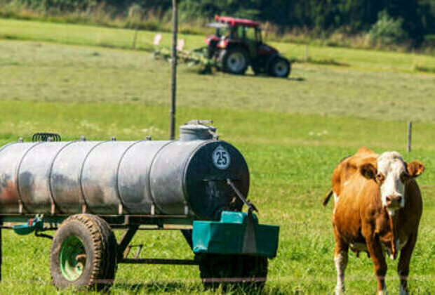 Cow dung gas can't replace Russian fossil fuel, expert says