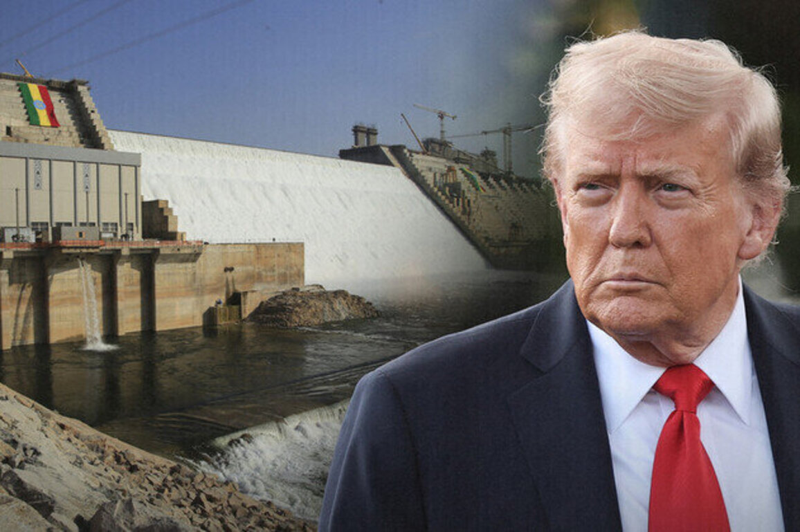 Trump vows to settle Nile dispute