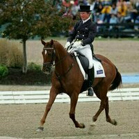 Horse whipping is painful and cruel. The latest incident shows why it should be banned