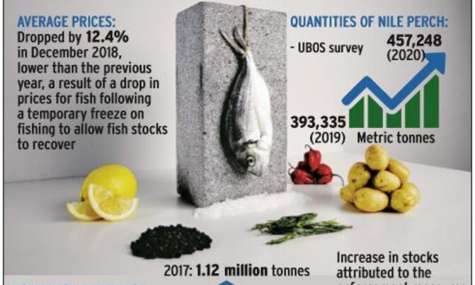 Uganda's fish quality better Uganda's fish quality better
